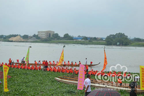 广州石井2012龙舟饭活动07