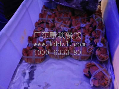 乐从雅居乐(位上)活动02